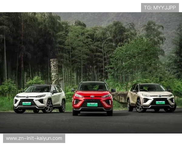 台山排校区家康16岁自由人力争省队 传承矮仔打高佬精神